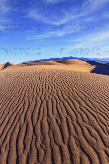 Mesquite Flat Sand Dunes. Bright solar morning in picturesque part of Death Valley. Thin waves on sand