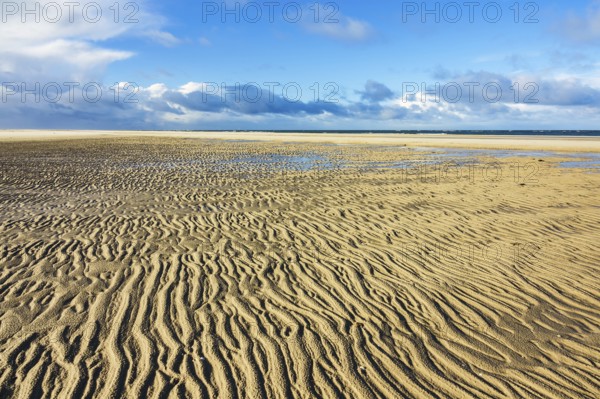 Beach on the North Sea coast on the island of Amrum
