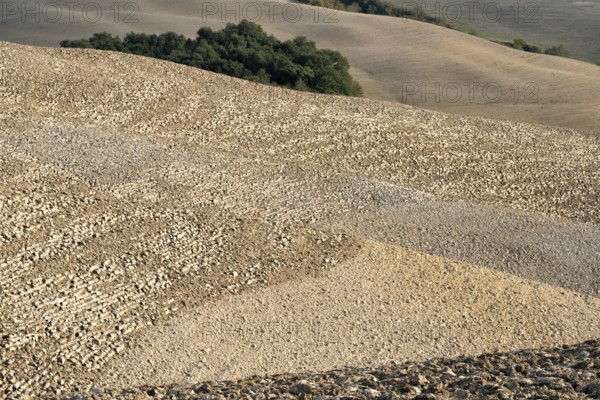 The most famous country landscape in Tuscany during autumn