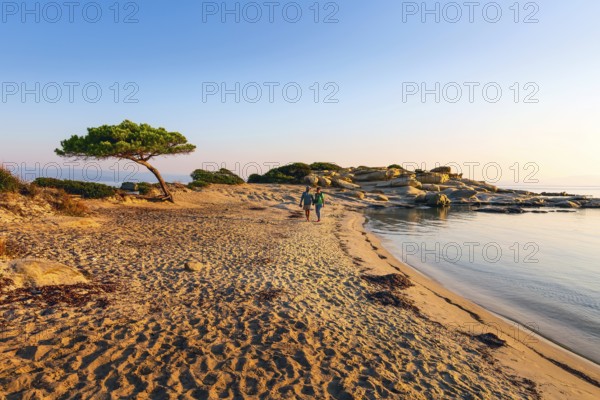 Vourvourou, Sithonia, Greece, September 17, 2019: Couple walking at sunrise Karidi beach. Halkidiki, mediterranean landscape with pine tree on coast, Europe