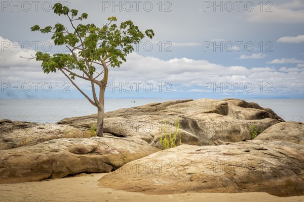 Lake Malawi beach view in Chinteche with trees and rock in foreground. Travel and tourism in Africa