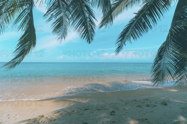 A beautiful beach on a tropical island