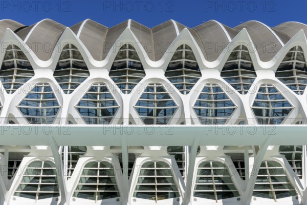 Detail of the roof of the white futuristic building of the science museum Prinz Philip (Museu de les Ciències) with blue sky in the background in the ultra-modern science complex in a landscaped park Ciudad de las Artes y de las Ciencias, Quatre Carreres, Valencia, Autonomous Community of Valencia, Province of Valencia, Spain, Europe