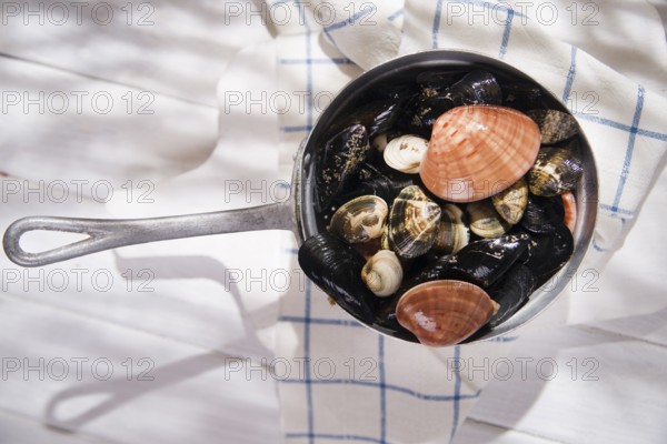 Necessary ingredients for a soup with seafood on a white background