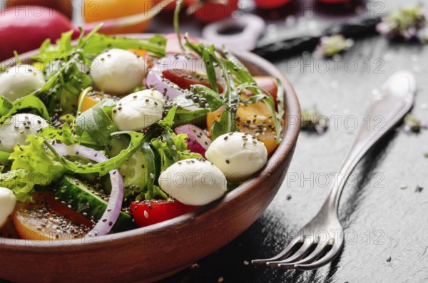 Vegetable salad with mocarella cheese, lettuce, cherry tomatoes, radish, cucumber, onion and basil in clay dish