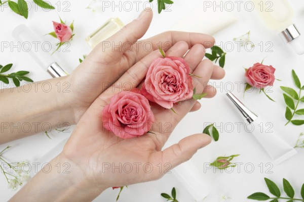 Rose buds in caucasian model hands on white background with cosmetic bottles tubes and droppers