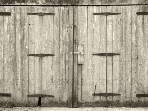 Monochrome old rural grey plank wooden plank doors with a bolt fastening and rusty iron hinges