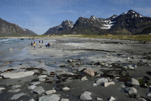 Coast near Flakstad, Flakstadöya, Lofoten, Norway, Europe