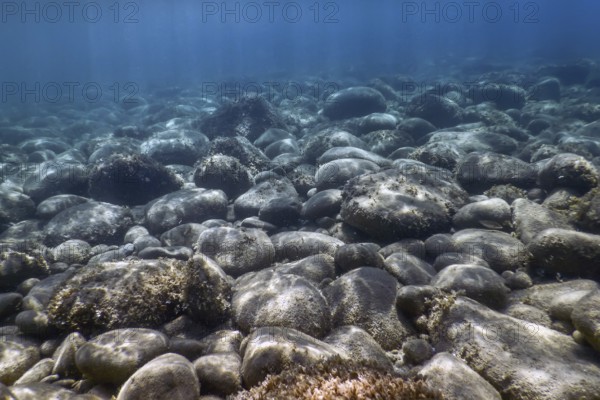 Sea Life Underwater rocks Sunlight, Underwater Life