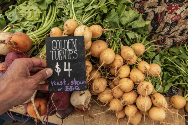 Hand written blackboard sign with the price of golden turnips at the local farmer's market. Real, fresh and genuine food from the countryside, on sale