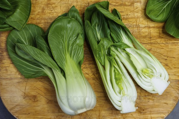 Fresh bok choy or pak choi or pok choi vegetables