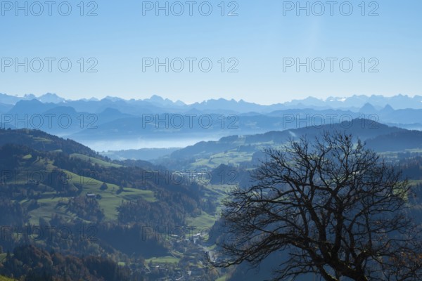 Beautiful view from the top of Hoerli, a hill in Cantone Zurich, towards the central alps