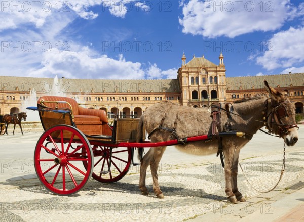 Seville Sevilla Plaza de Espana donkey carriage in Andalusia Spain square