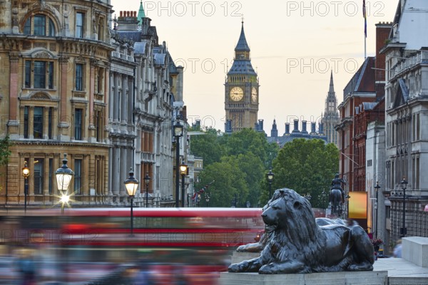 London Trafalgar Square lion and Big Ben tower at background