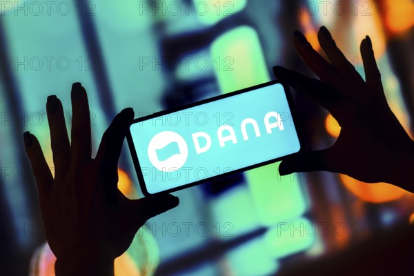 In this photo illustration, the Dana logo is displayed on a smartphone screen