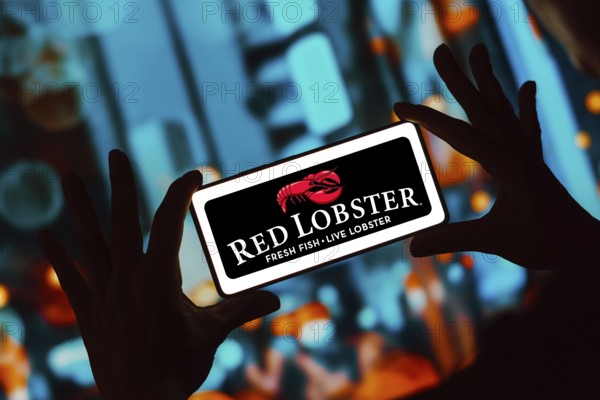 December 13, 2023, Brazil. In this photo illustration, the Red Lobster logo is displayed on a smartphone screen
