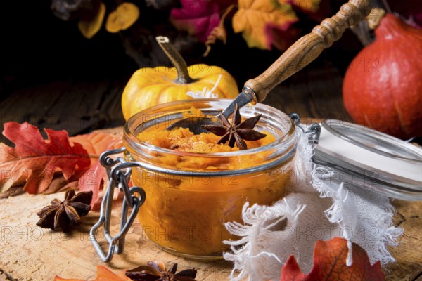 An autumnal rustic pumpkin