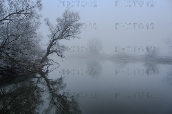 Fog on the banks of the Danube near Bogen (Lower Bavaria)