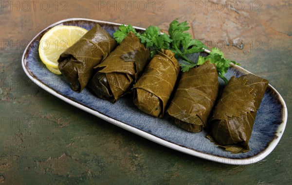 Dolma, minced meat with rice, in grape leaves, rolls with minced meat, on a plate, top view, no people, tolma, grape leaves with filling