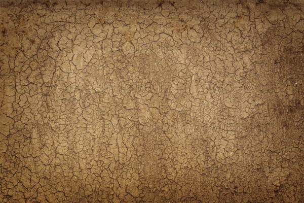 Grunge Background Bulgaria