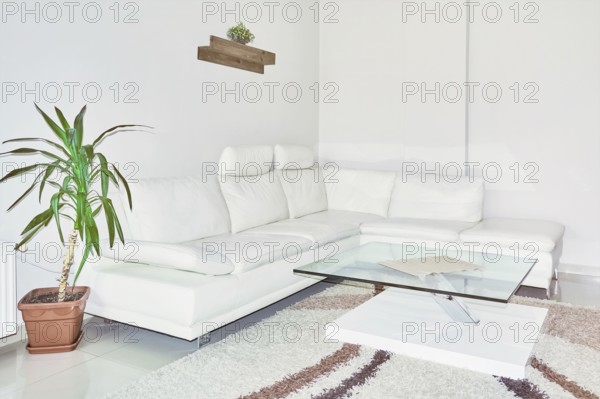 Sofa and Glass Table in the Corner of the Room