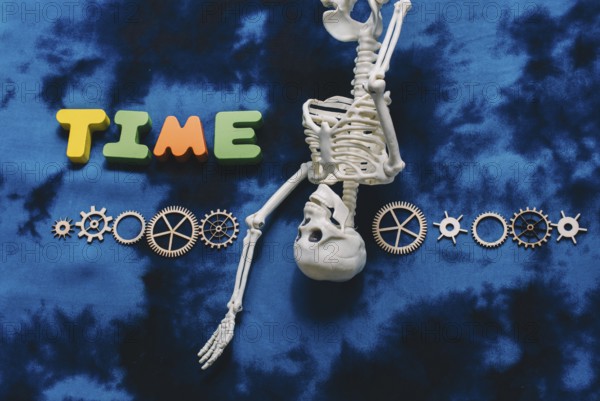 Time wording, cogwheels and artificial skeleton as time concept