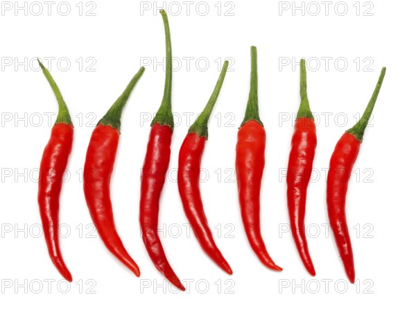 Seven Red hot chili pepper on a white background stacked