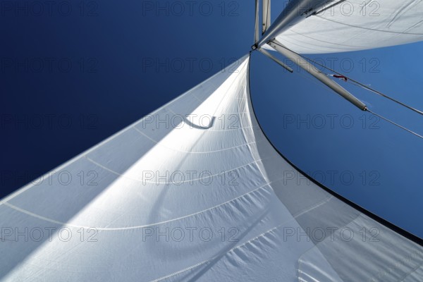 Sail of a sailing yacht in the wind while sailing on the sea