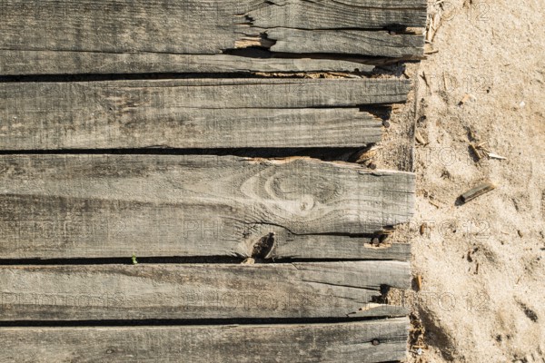 Wood boards on the beach. Old vintage woods