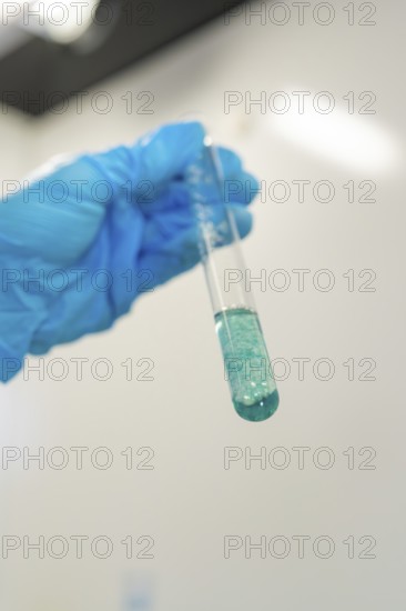 Test tube with blue liquid, held by a person in the laboratory, Youth Research Centre Nagold, Black Forest North, district of Calw, Germany