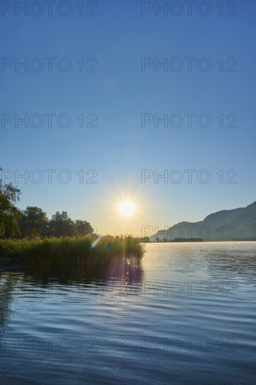 Lake shore, reeds, sunrise, summer, Steindorf am Lake Ossiach, Lake Ossiach, Carinthia, Austria