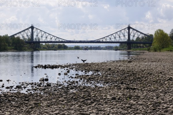 Elbe near Dresden with low water on 23 April 2025, Blaues Wunder bridge, drought, Saxony, Germany