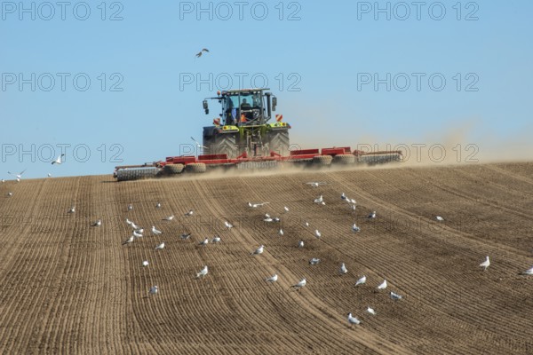 Tractor with rollers preparing the ground for spring sowing at Krageholm, Ystad Municipality, Skåne County, Sweden, Scandinavia