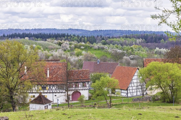 Historic village buildings. Half-timbered farmhouse in the open-air museum on the Swabian Alb. Beuren, Baden-Württemberg, Germany