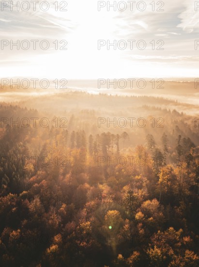 Sunbeams break through the fog over an autumnal forest, creating an atmospheric morning landscape, Gechingen, Black Forest, Germany