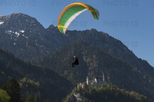 A paraglider flies near Neuschwanstein Castle in front of an impressive mountain landscape, Schwangau near Füssen, Ostallgäu district, Swabia, Bavaria, Germany