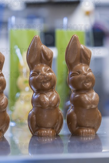 Close-up of two chocolate bunnies on a shiny table, Easter baking and chocolate icing at Haselstaller Hof, Gechingen, Black Forest, Germany
