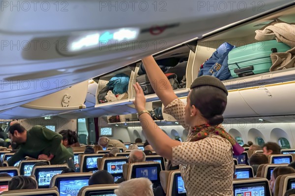 Etihad airline aircraft, interior, rows of seats with passengers. Boeing 787 aircraft on a flight to Munich. A flight attendant stows the luggage in the overhead compartment. Abu Dhabi, United Arab Emirates, UAE