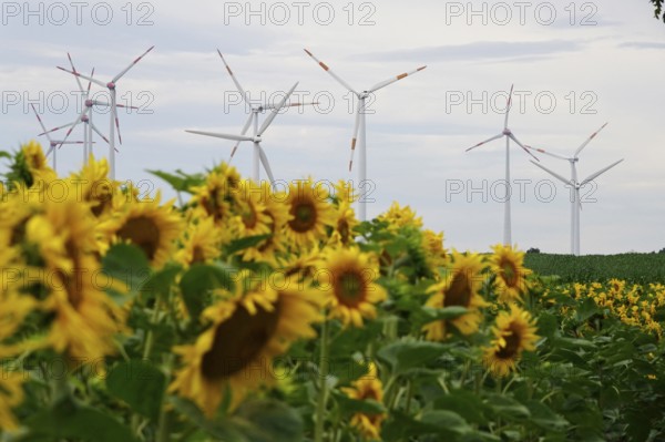 Wind turbines, summer, Germany