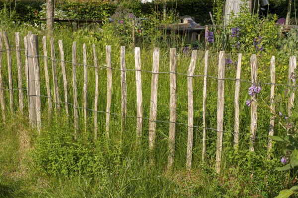 Picket fence in the park at the mill, Wyk, Föhr, North Sea island, North Frisia, Schleswig-Holstein, Germany