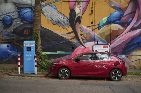Charging station Stadtwerke Stuttgart for electric cars, charging station, e-filling station, e-mobility, charging cable leads into e-car, Stadtmobil Car Rental, car sharing, station, logo, behind it graffiti, flamingo, Stuttgart, Baden-Württemberg, Germany