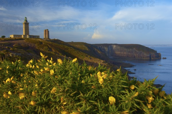 Coastal landscape with cliffs and sea, a lighthouse at Cap Frehel, gorse in the foreground, Cap Frehel, Cotes-d Armor, Brittany, France