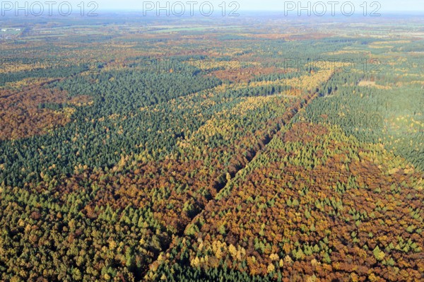 Saxon forest, aerial view, autumn forest, commercial forest, forest dieback, forest, deciduous forest, colouring, Indian summer, autumn, landscape, environment, forest, tax oasis, tax rate, Bismarck