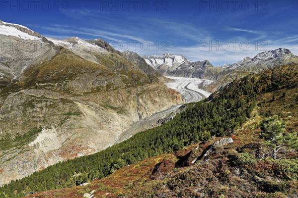 Great Aletsch Glacier, the heart of the Jungfrau-Aletsch-Bietschhorn UNESCO World Heritage Site, Goms, Canton Valais, Switzerland