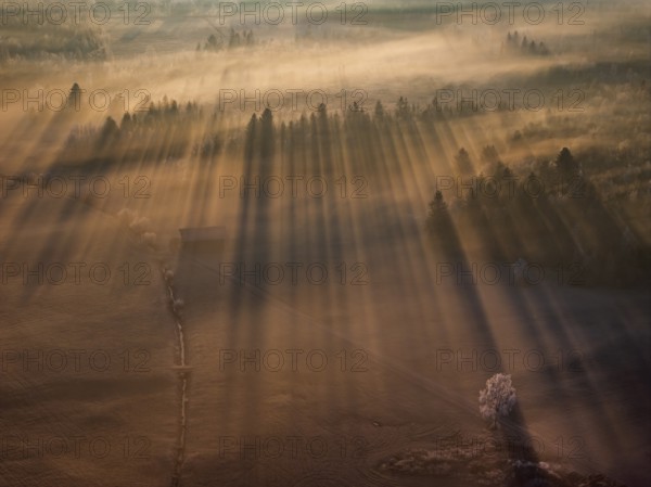 Sunrise, fog, hoarfrost, forest, winter, backlight, aerial view, Loisach-Lake Kochel-Moor, Alpine foothills, Bavaria, GermanyDefault