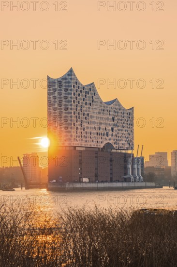 The sun rises behind the Elbphilharmonie and illuminates the surrounding area in golden colours, Hamburg, Germany