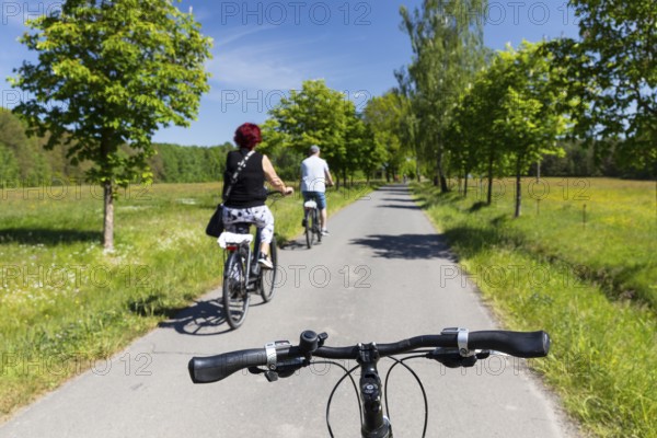 Cycling through meadows and forests in Lusatia, here near Kromlau, district of Görlitz, Saxony, Germany