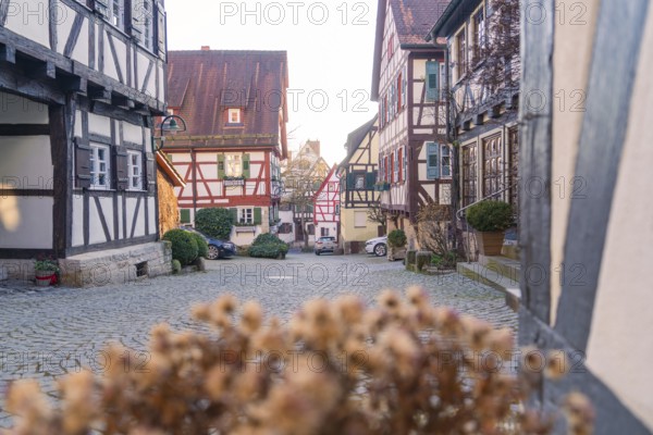 Cosy alley lined with traditional half-timbered houses with faded plants in focus, Sindelfingen, Böblingen district, Germany