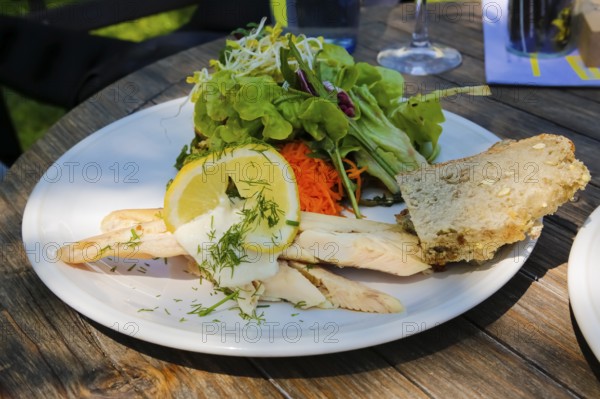 Swabian cuisine, smoked trout fillet from the Echaz valley, cold starter, horseradish, dill, slices of bread, mixed salad, fish arranged on a plate, regional, home cooking, typical Swabian, traditional cuisine, food photography, Germany
