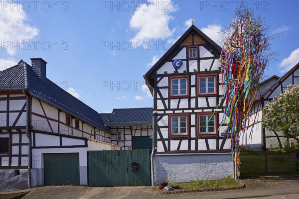 Half-timbered house with maypole in Pesch, Nettersheim, Eifel, Euskirchen district, North Rhine-Westphalia, Germany